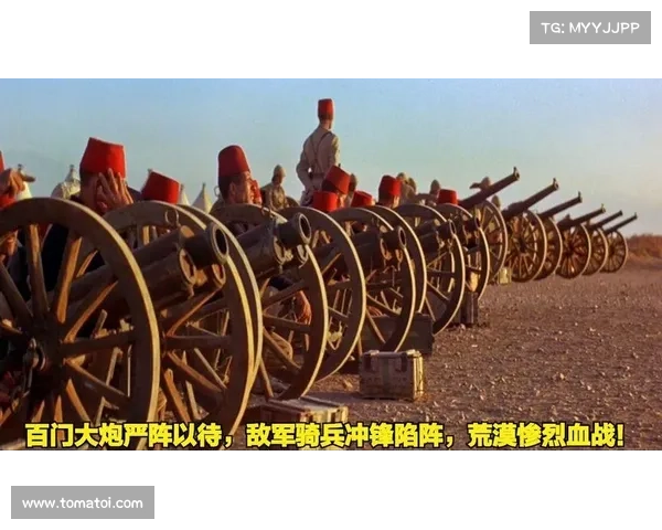 陷阵突围：坚守危城之艰途