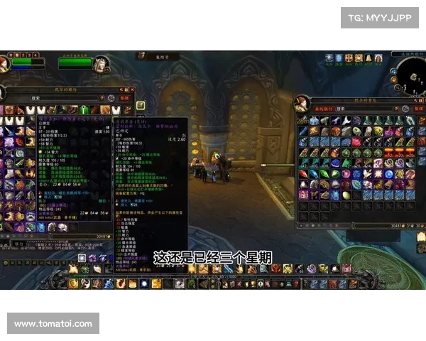 魔兽世界怀旧服：装备为中心，58级直升攻略