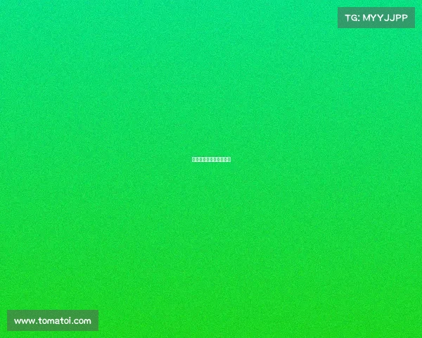 集结号官网娱乐电子网址